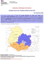 Indicateurs Statistiques Territoriaux - 1er trimestre 2025