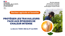 Travail sous fortes chaleurs