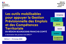 Gestion Prévisionnelle des Emplois et des Compétences Territoriale (GPECT)