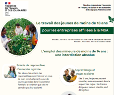 Le travail des mineurs en secteur agricole