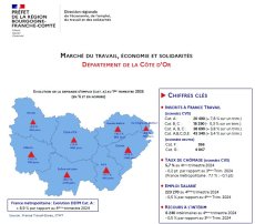 Indicateurs Trimestriels Départementaux - 1er trimestre 2025