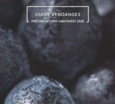 Guide Vendanges