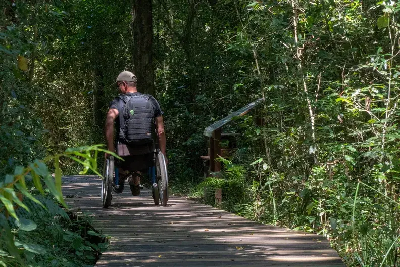 Homme en fauteuil roulant sur un chemin en foret